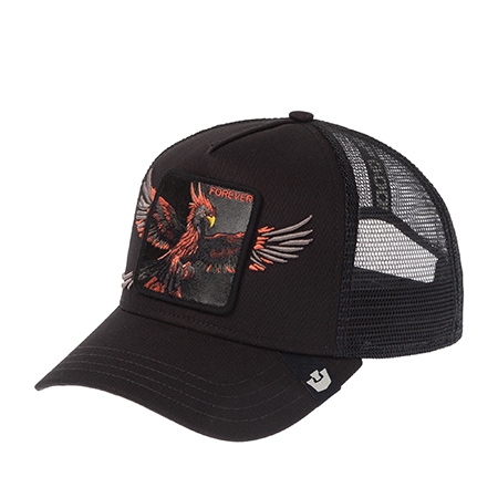 Бейсболка GOORIN BROTHERS арт. 101-3021 (черный)