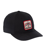 Бейсболка AMERICAN NEEDLE арт. SMU702A-FIREBIRD Firebird Hepcat (черный)