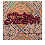 Бейсболка STETSON арт. 7741125 TRUCKER CAP VINTAGE PRINT (светло-коричневый)