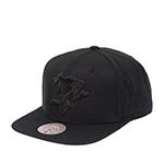 Бейсболка MITCHELL NESS арт. HS10998-PPEBLCK Pittsburgh Penguins NHL (черный)