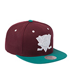 Бейсболка MITCHELL NESS арт. HS11181-ADUPURP Anaheim Ducks NHL (бордовый / бирюзовый)