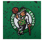 Бейсболка MITCHELL NESS арт. HS11479-BCEGREN Boston Celtics NBA (зеленый)