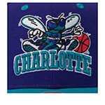Бейсболка MITCHELL NESS арт. HP8763-CHOPURP Charlotte Hornets NBA (фиолетовый / бирюзовый)