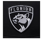 Бейсболка MITCHELL NESS арт. HS8546-FPTBLCK Florida Panthers NHL (черный)