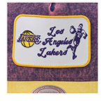 Бейсболка MITCHELL NESS арт. HT14012-LALPURP Los Angeles Lakers NBA (фиолетовый / желтый)