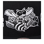Бейсболка MITCHELL NESS арт. HS12160-CHOBLCK Charlotte Hornets NBA (черный)