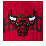 Бейсболка MITCHELL NESS арт. HP14518-CBURED1 Chicago Bulls NBA (красный)