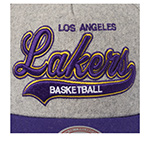 Бейсболка MITCHELL NESS арт. HP14543-LALGREY Los Angeles Lakers NBA (серый / фиолетовый)