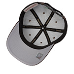 Бейсболка MITCHELL NESS арт. HP14949-PEACAMO Philadelphia Eagles NFL (серый / коричневый)