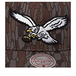 Бейсболка MITCHELL NESS арт. HP14949-PEACAMO Philadelphia Eagles NFL (серый / коричневый)