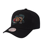 Бейсболка MITCHELL NESS арт. HP12161-VGRBLCK Vancouver Grizzlies NBA (черный)