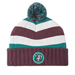 Шапка MITCHELL NESS арт. HK10243-ADUPURP Anaheim Ducks NHL (сливовый / зеленый)