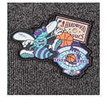 Шапка MITCHELL NESS арт. HCFK4341-CHOYYPPPBLCK Charlotte Hornets NBA (черный)
