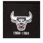 Шапка MITCHELL NESS арт. INTL534-CHIBUL-BLK Chicago Bulls NBA (черный)