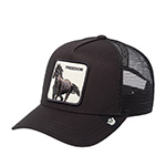 Бейсболка GOORIN BROTHERS арт. 101-2594 (черный)