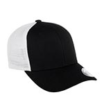 Бейсболка FLEXFIT арт. 6511T (черный / белый)