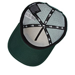 Бейсболка NEW ERA арт. 60580849 Aspen (dkgofw)