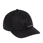 Бейсболка GOORIN BROTHERS арт. 101-2901 (черный)